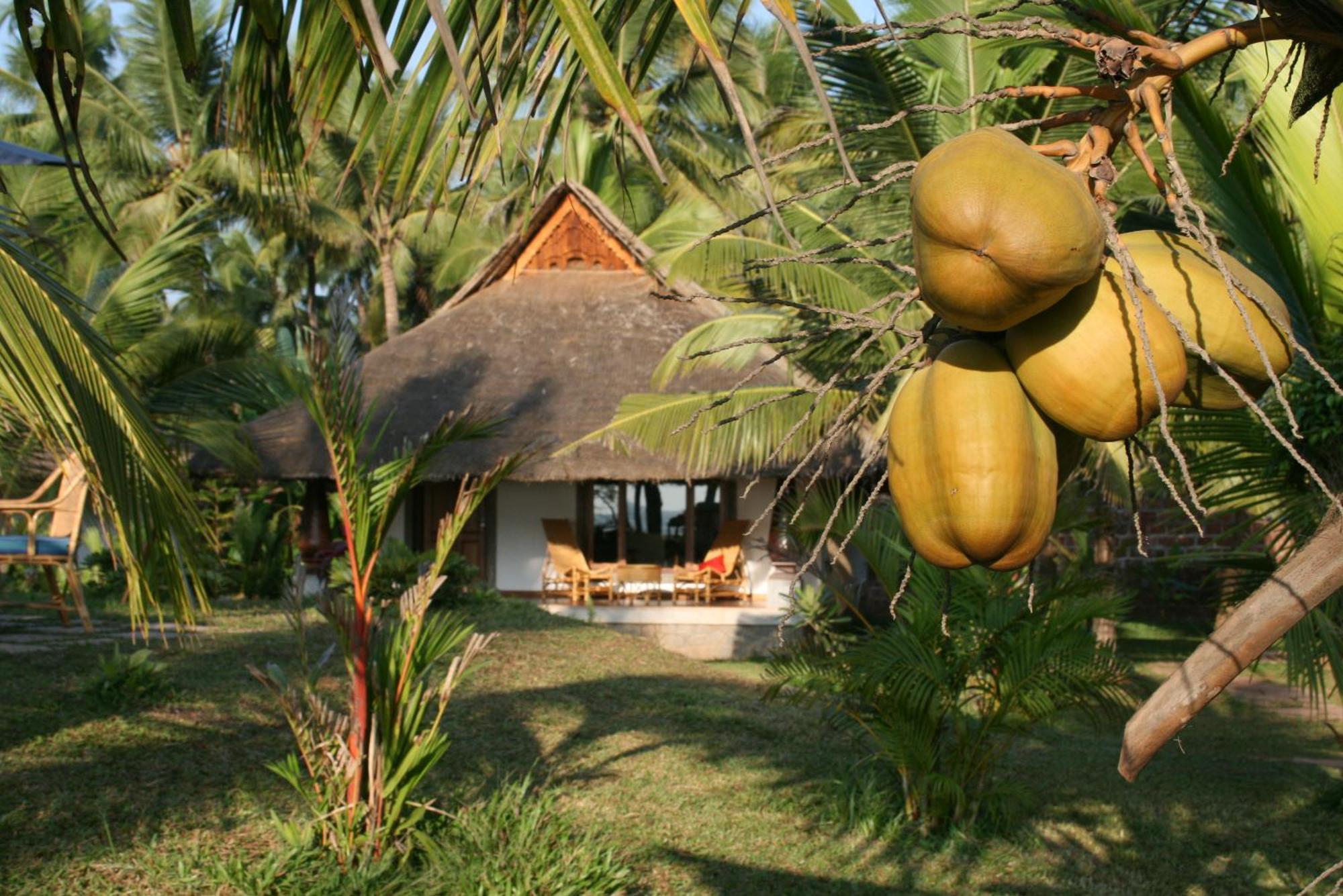 Neeleshwar Hermitage Nīleshwar Exteriör bild